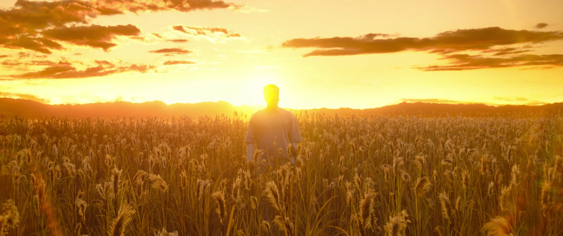 The field of reeds from Moon Knight