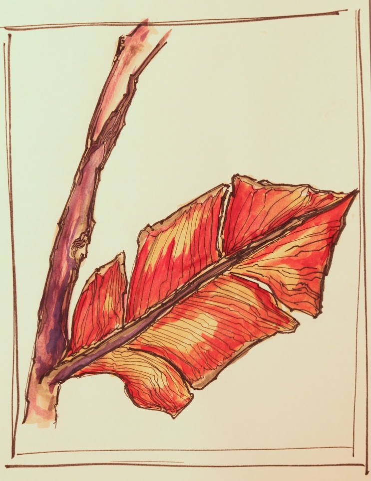Sketch of an alien plant in the game
