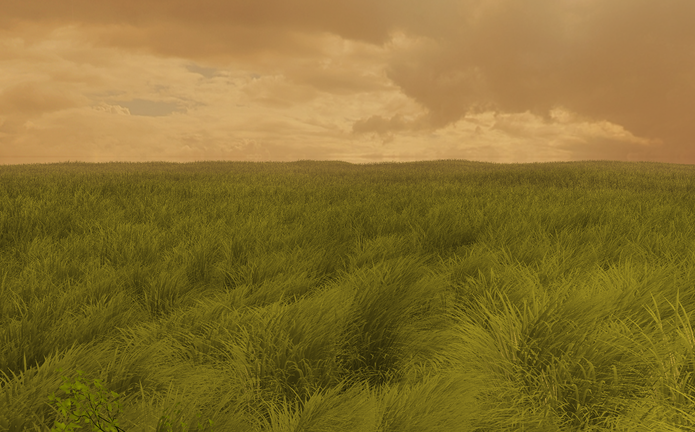 Grass swept planes
