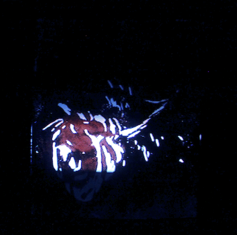 Cutscene from the game