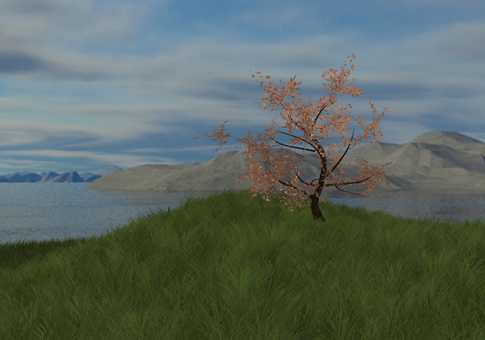 Early grass development