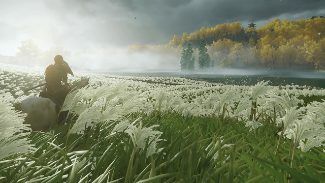 The grass meadows from The Ghost of Tsushima